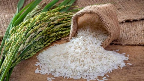 Stok Beras di Wilayah Jakarta Aman dan Harga Stabil Saat Nataru Stok Beras di Wilayah Jakarta Aman dan Harga Stabil Saat Nataru