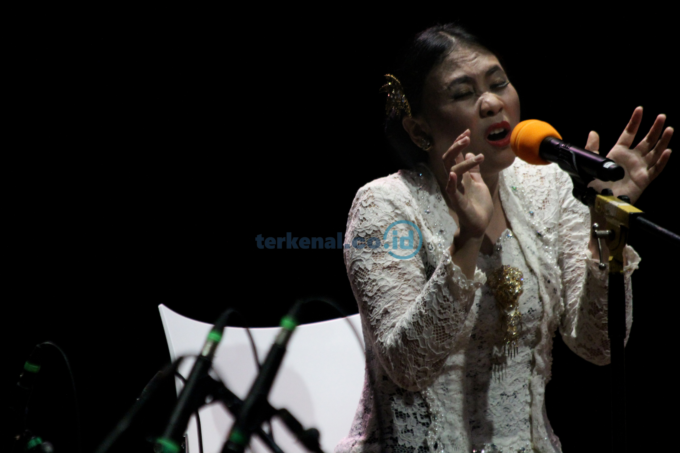 BERITA FOTO: Konser Musik Indonesia-Belanda Berkolaborasi 5 2FE8730D CDEE 46A4 86C2 FD95618AE32F