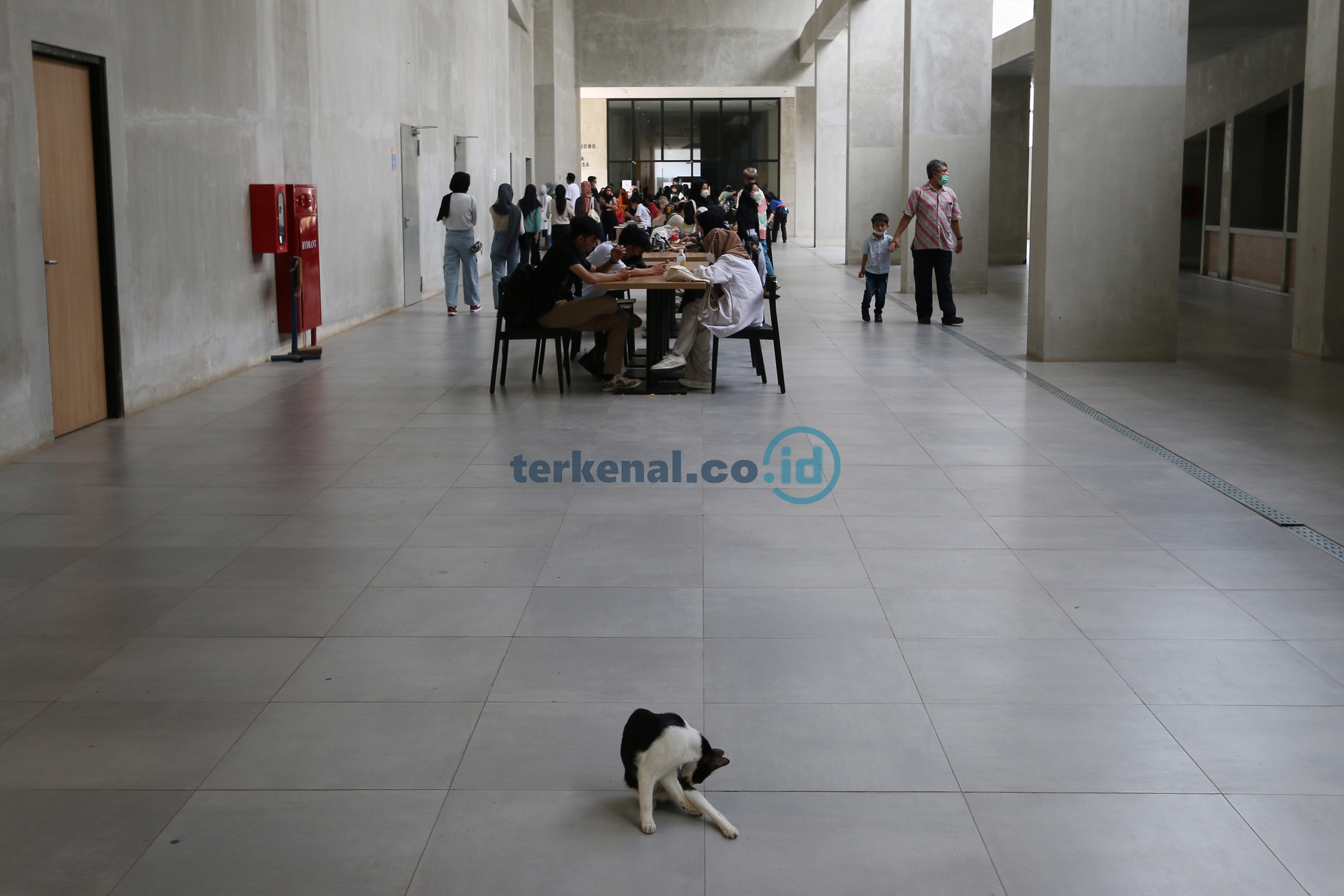 FOTO: Wajah Baru Taman Ismail Marzuki 12 Wajah Baru TIM Kuncoro WR 12