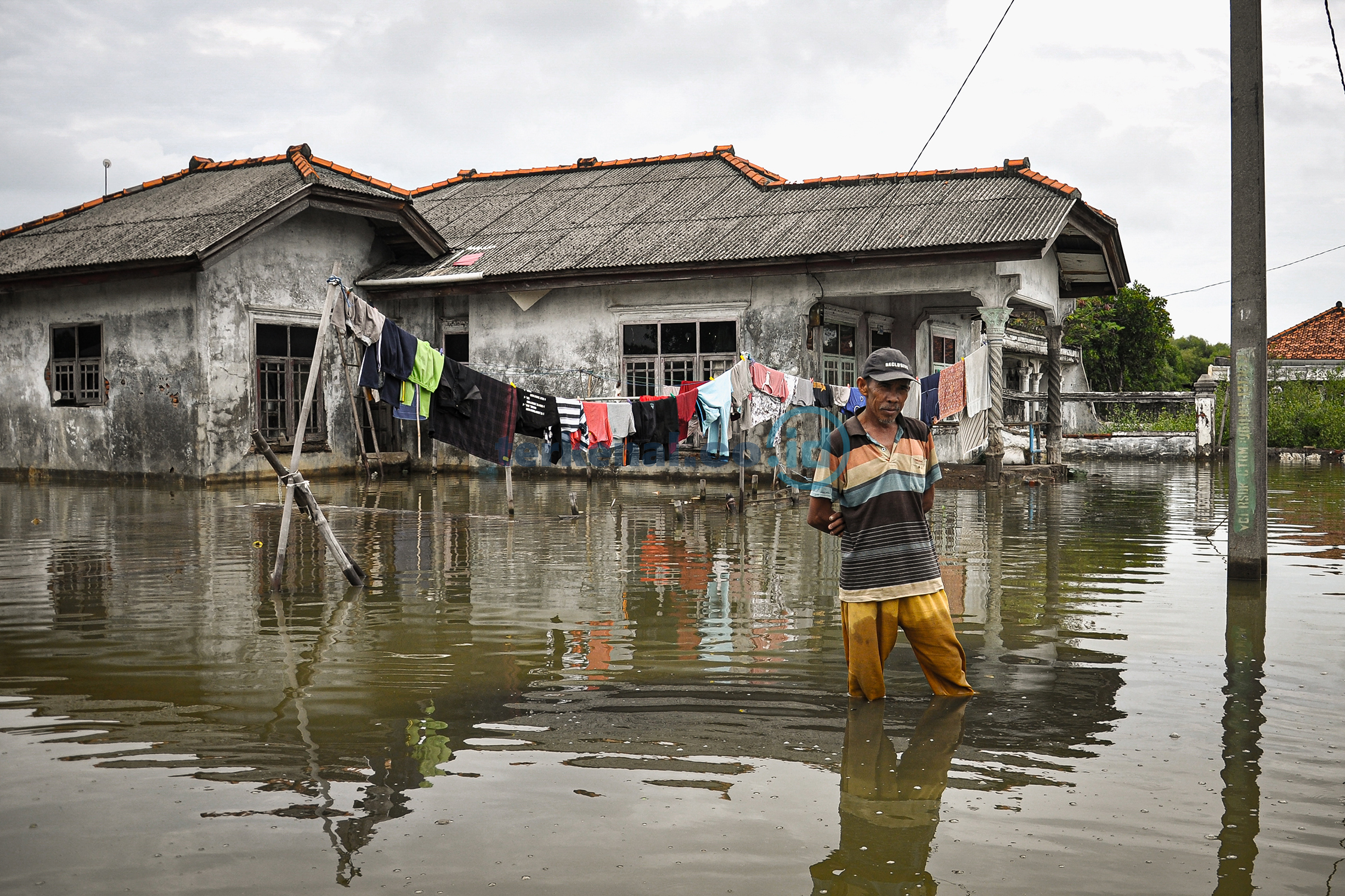 Banjir Rob Melanda Muaragembong Kabupaten Bekasi, Ketua RT: Tolong Pak! Banjir Rob Melanda Muaragembong Kabupaten Bekasi, Ketua RT: Tolong Pak!