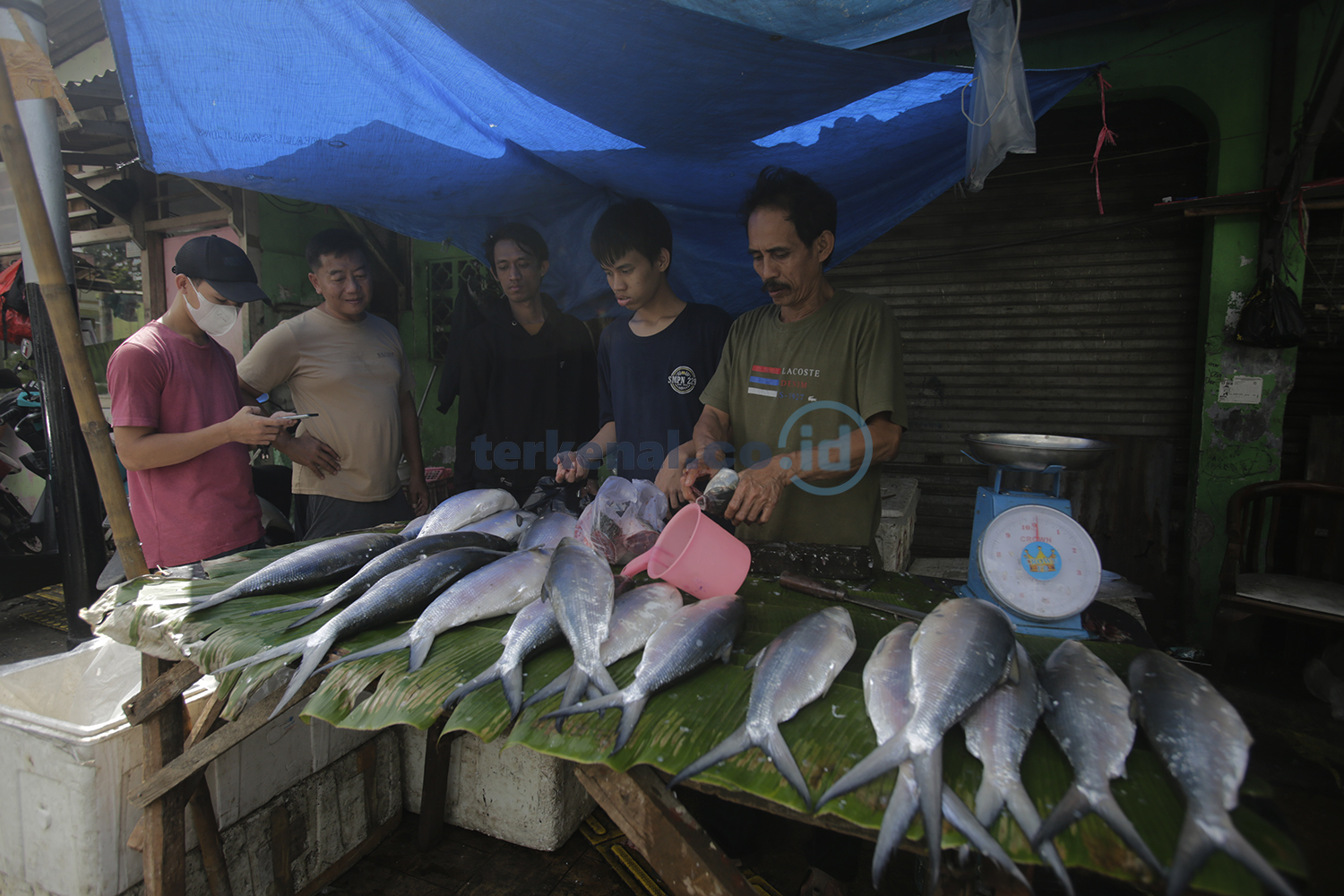 FOTO: Serbu! Ikan Bandeng Jelang Imlek 1 Pedagang Ikan Bandeng 3