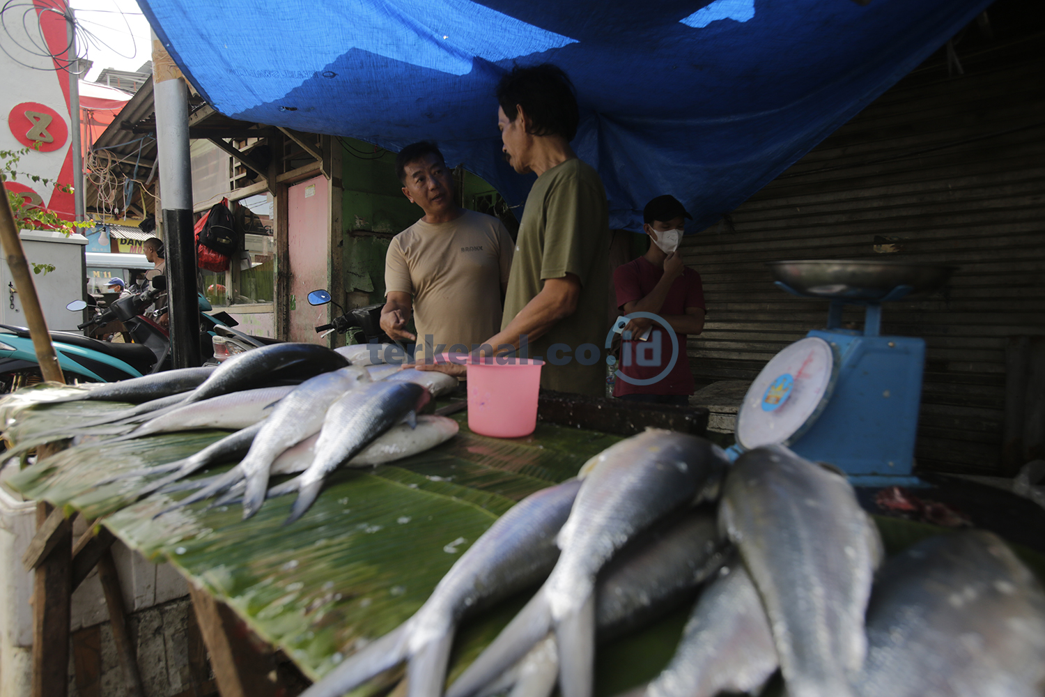 FOTO: Serbu! Ikan Bandeng Jelang Imlek 3 Pedagang Ikan Bandeng 5