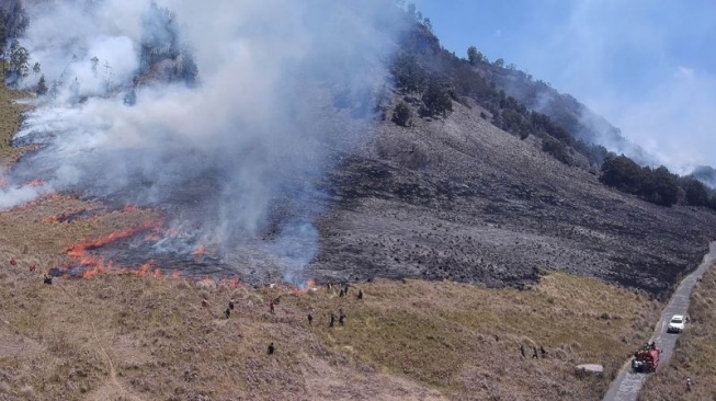 Berdalih Tak Sepenuhnya Salah, Pasangan Prewedding di Bromo Tuntut Balik Petugas TNBTS Berdalih Tak Sepenuhnya Salah, Pasangan Prewedding di Bromo Tuntut Balik Petugas TNBTS