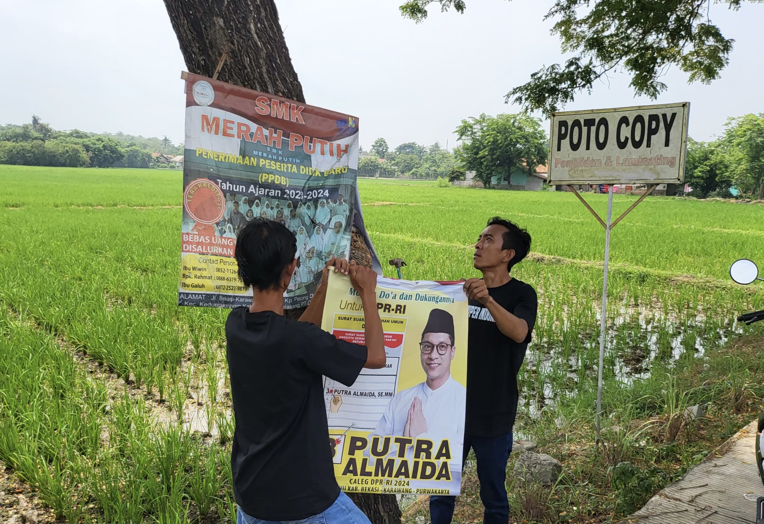 Waduh! APK Caleg yang Dipaku di Pohon Dicopot-copotin Pemuda Bekasi Waduh! APK Caleg yang Dipaku di Pohon Dicopot-copotin Pemuda Bekasi
