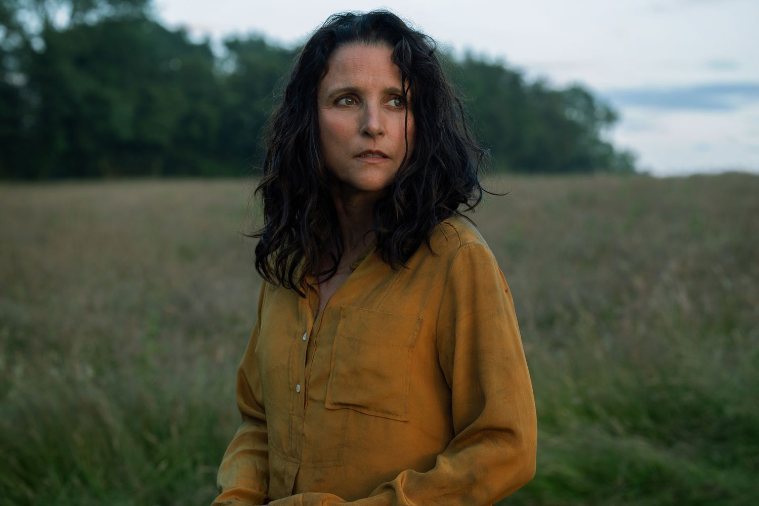 Julia Louis-Dreyfus Pergi ke ‘Tempat yang Menyakitkan’ untuk Peran Selasa Julia Louis-Dreyfus Pergi ke ‘Tempat yang Menyakitkan’ untuk Peran Selasa