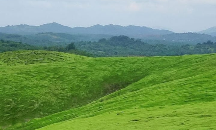 Bukit Rimpi Pelaihari: Surga Hijau di Kalimantan Selatan yang Memukau Bukit Rimpi Pelaihari: Surga Hijau di Kalimantan Selatan yang Memukau