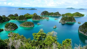 Seruan Save Raja Ampat Publik Desak Penghentian Tambang Seruan Save Raja Ampat Publik Desak Penghentian Tambang