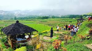 Pemkot Makassar Luncurkan Program “Lorong Wisata” untuk Dorong Ekonomi Kreatif Warga Pemkot Makassar Luncurkan Program “Lorong Wisata” untuk Dorong Ekonomi Kreatif Warga