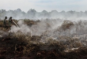 16 Tersangka Ditetapkan dalam Kasus Pembakaran Lahan di Riau Sepanjang 2025 16 Tersangka Ditetapkan dalam Kasus Pembakaran Lahan di Riau Sepanjang 2025
