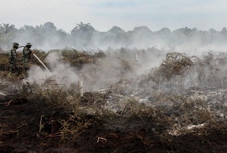 16 Tersangka Ditetapkan dalam Kasus Pembakaran Lahan di Riau Sepanjang 2025 16 Tersangka Ditetapkan dalam Kasus Pembakaran Lahan di Riau Sepanjang 2025